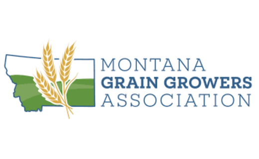 2025 Scholarship Program Launched by Montana Grain Growers